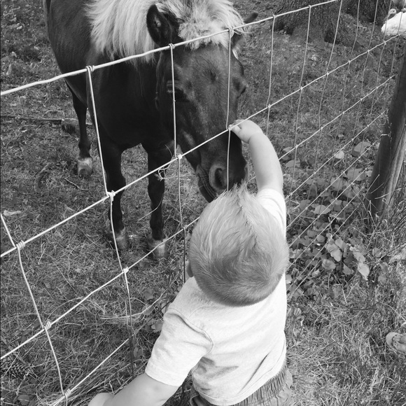 Meet your Posher, Dusty - Picture 4 of 5